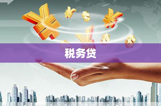 武昌税务贷