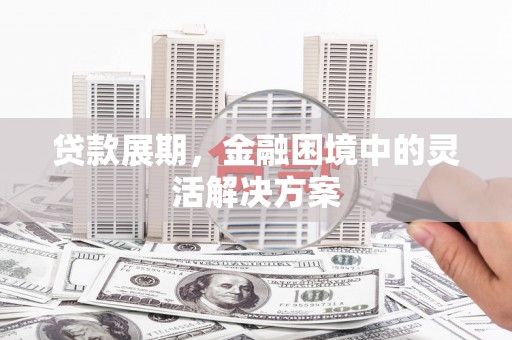 武昌贷款展期，金融困境中的灵活解决方案