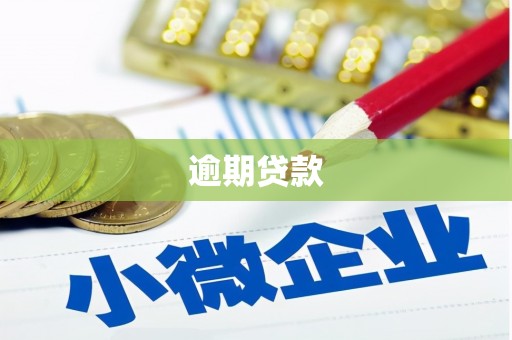 武昌逾期贷款