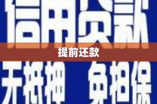 武昌提前还款