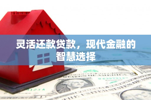 武昌灵活还款贷款，现代金融的智慧选择