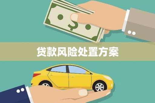 武昌贷款风险处置方案