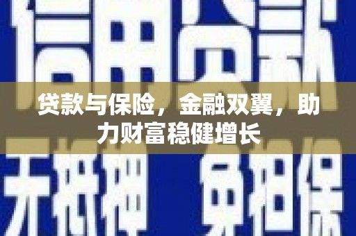 武昌贷款与保险，金融双翼，助力财富稳健增长