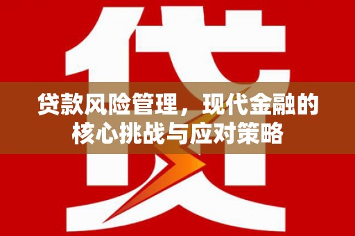 武昌贷款风险管理，现代金融的核心挑战与应对策略