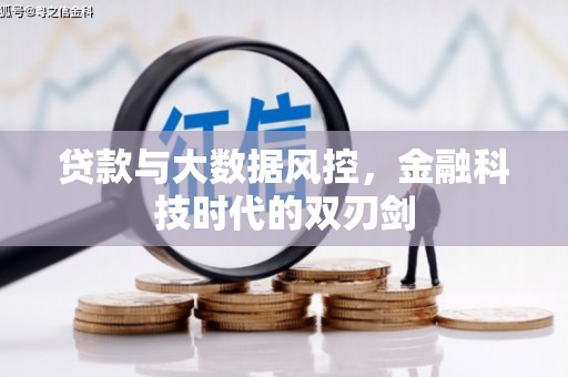 武昌贷款与大数据风控，金融科技时代的双刃剑