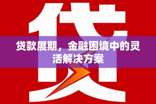 武昌贷款展期，金融困境中的灵活解决方案