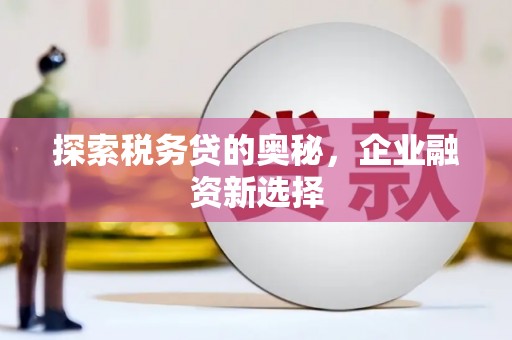武昌探索税务贷的奥秘，企业融资新选择