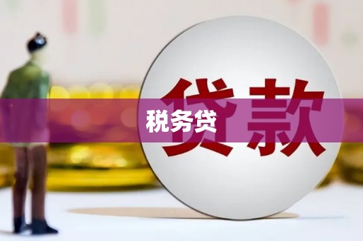 武昌税务贷