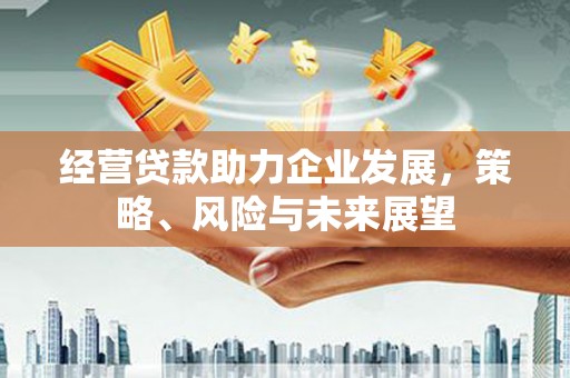 武昌经营贷款助力企业发展，策略、风险与未来展望