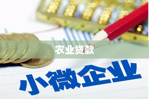 武昌农业贷款