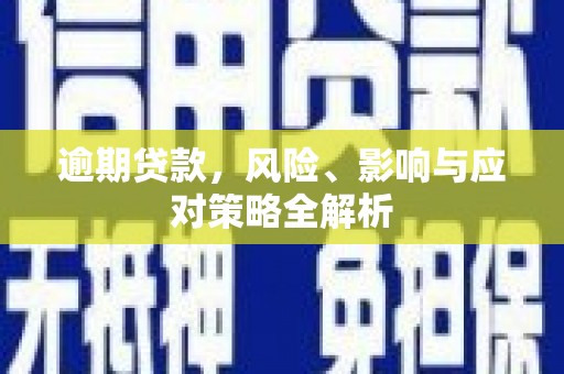 武昌逾期贷款，风险、影响与应对策略全解析