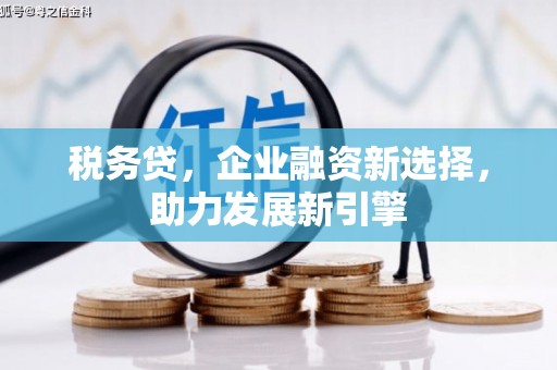 武昌税务贷，企业融资新选择，助力发展新引擎