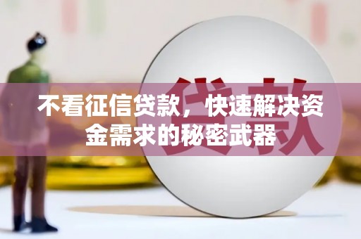 武昌不看征信贷款，快速解决资金需求的秘密武器