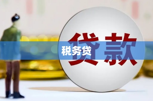 武昌税务贷