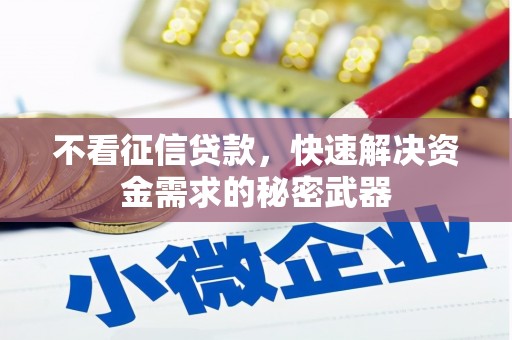 武昌不看征信贷款，快速解决资金需求的秘密武器