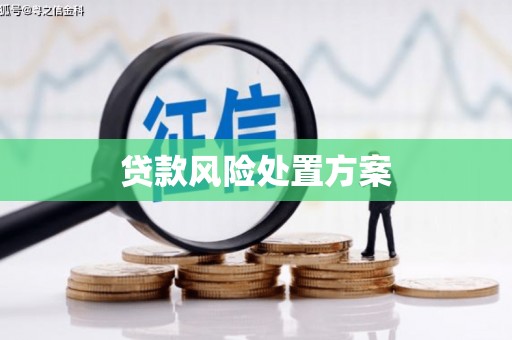 武昌贷款风险处置方案
