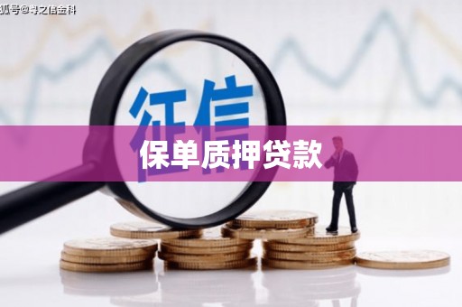 武昌保单质押贷款