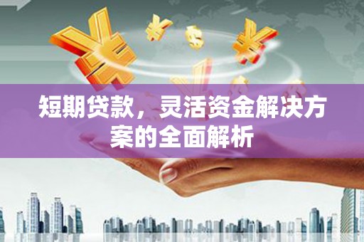 武昌短期贷款，灵活资金解决方案的全面解析
