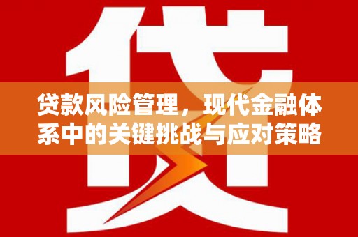武昌贷款风险管理，现代金融体系中的关键挑战与应对策略