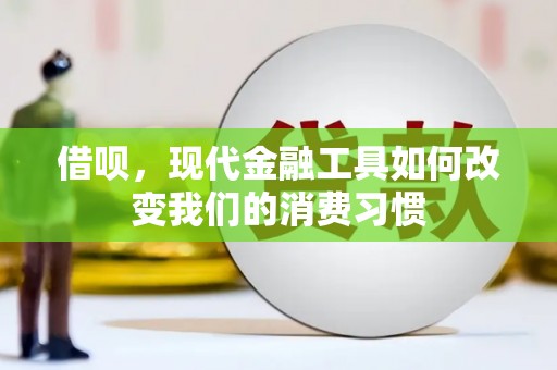 武昌借呗，现代金融工具如何改变我们的消费习惯