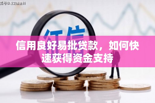 武昌信用良好易批贷款，如何快速获得资金支持