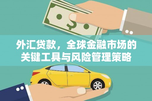 武昌外汇贷款，全球金融市场的关键工具与风险管理策略