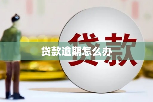 武昌贷款逾期怎么办