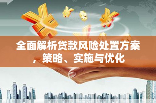 武昌全面解析贷款风险处置方案，策略、实施与优化