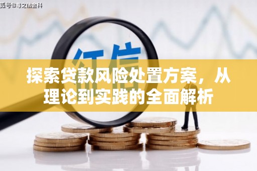 武昌探索贷款风险处置方案，从理论到实践的全面解析