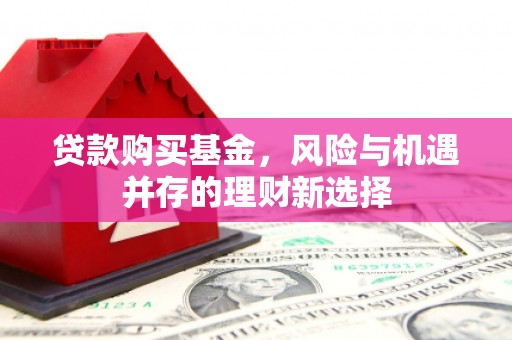武昌贷款购买基金，风险与机遇并存的理财新选择