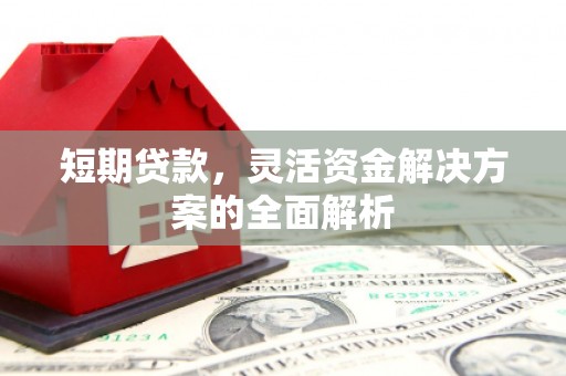 武昌短期贷款，灵活资金解决方案的全面解析