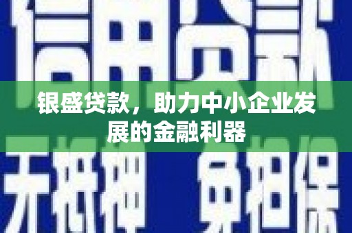 武昌银盛贷款，助力中小企业发展的金融利器