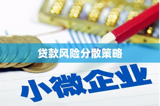 武昌贷款风险分散策略