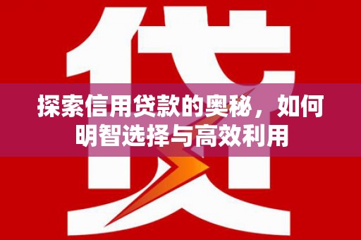 武昌探索信用贷款的奥秘，如何明智选择与高效利用