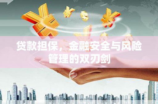 武昌贷款担保，金融安全与风险管理的双刃剑