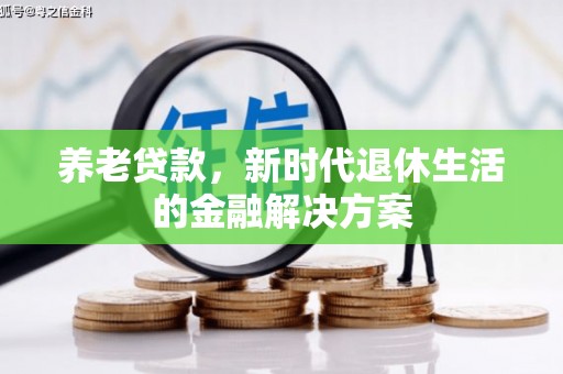 武昌养老贷款，新时代退休生活的金融解决方案