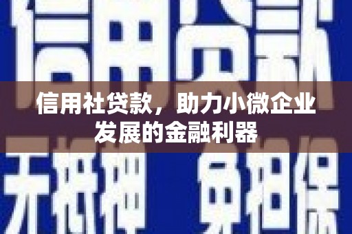 武昌信用社贷款，助力小微企业发展的金融利器