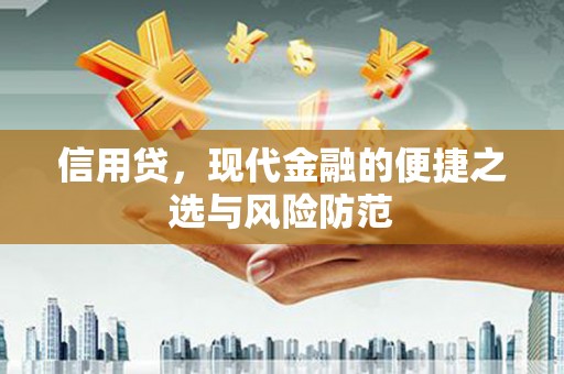 武昌信用贷，现代金融的便捷之选与风险防范