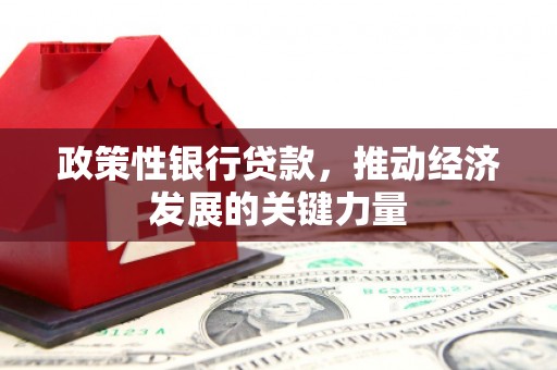 武昌政策性银行贷款，推动经济发展的关键力量
