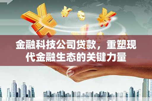 武昌金融科技公司贷款，重塑现代金融生态的关键力量