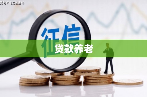 武昌贷款养老