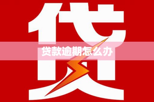 武昌贷款逾期怎么办