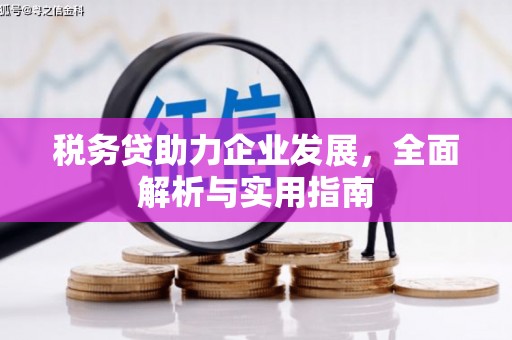 武昌税务贷助力企业发展，全面解析与实用指南