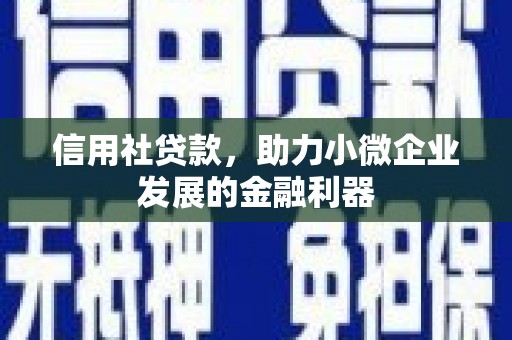武昌信用社贷款，助力小微企业发展的金融利器