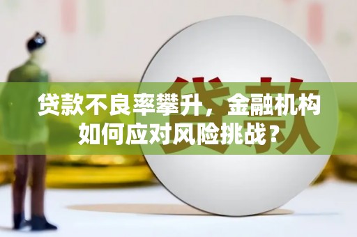 武昌贷款不良率攀升，金融机构如何应对风险挑战？