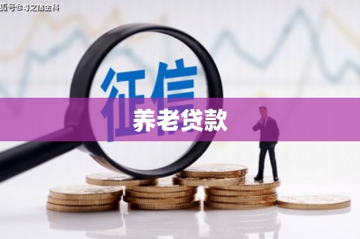 武昌养老贷款