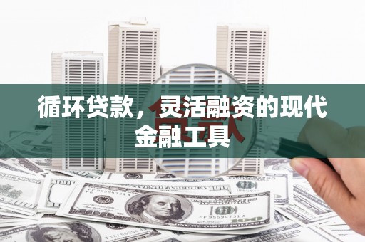 武昌循环贷款，灵活融资的现代金融工具