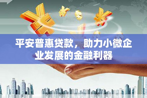 武昌平安普惠贷款，助力小微企业发展的金融利器