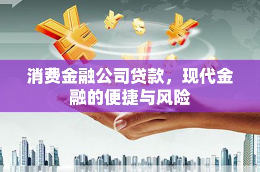 武昌消费金融公司贷款，现代金融的便捷与风险