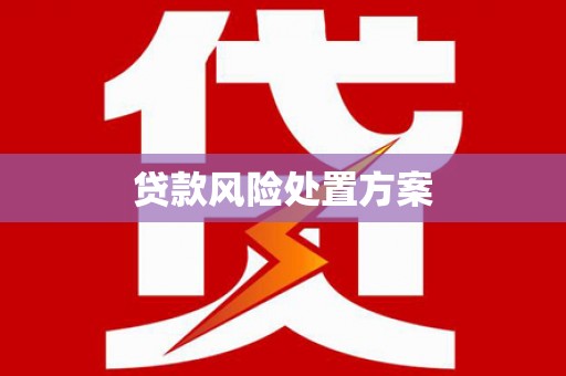 武昌贷款风险处置方案